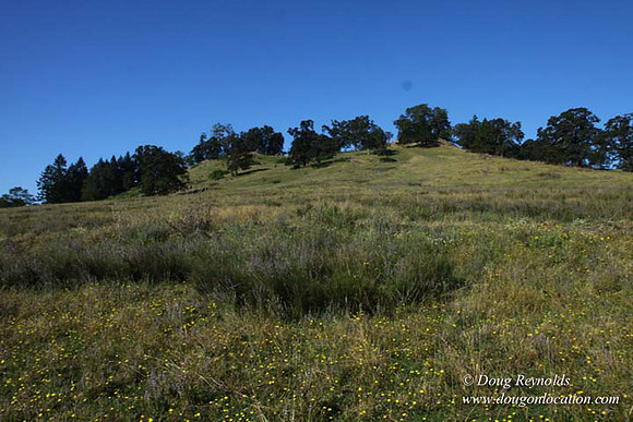 Ranch 14 Oregon