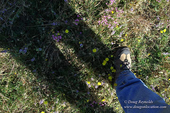 Ranch 14 Oregon