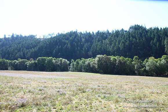 Ranch 14 Oregon
