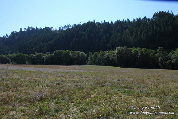 Ranch 14 Oregon