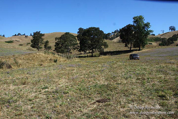 Ranch 14 Oregon