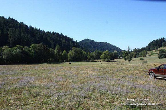 Ranch 14 Oregon