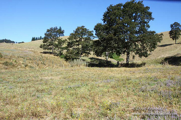 Ranch 14 Oregon