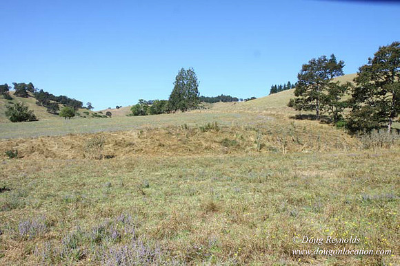 Ranch 14 Oregon