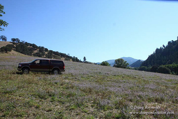 Ranch 14 Oregon