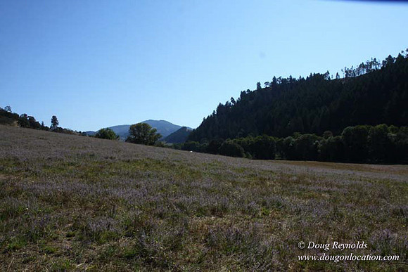 Ranch 14 Oregon