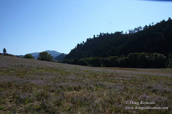 Ranch 14 Oregon