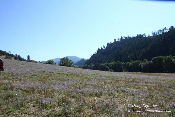 Ranch 14 Oregon