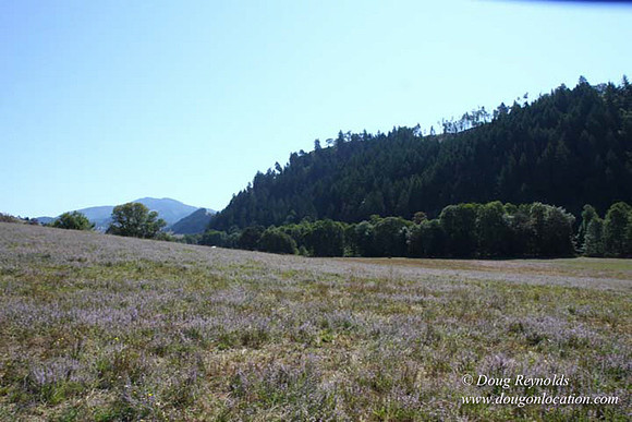 Ranch 14 Oregon