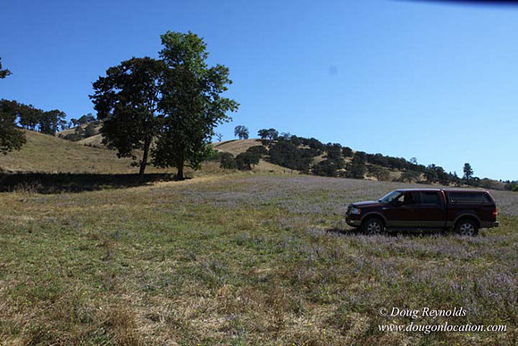 Ranch 14 Oregon