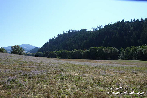 Ranch 14 Oregon