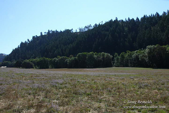 Ranch 14 Oregon