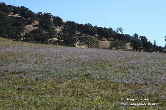 Ranch 14 Oregon