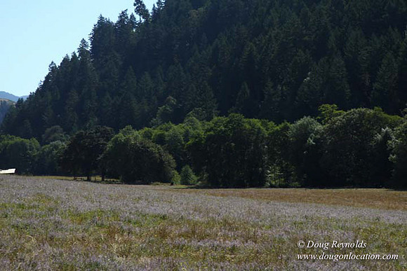 Ranch 14 Oregon