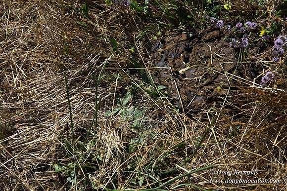 Ranch 14 Oregon