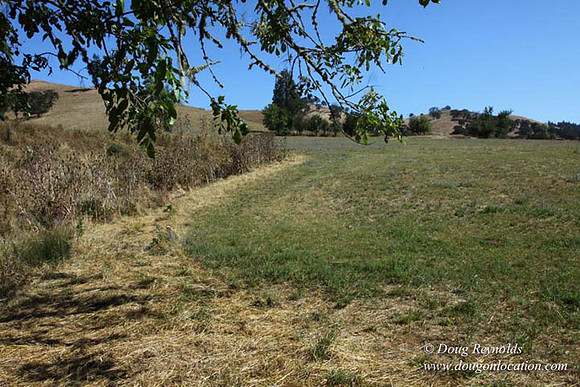 Ranch 14 Oregon
