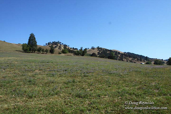Ranch 14 Oregon
