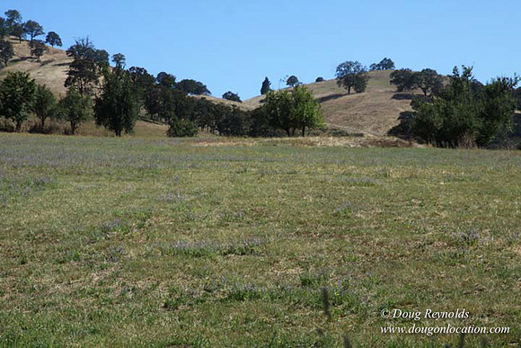 Ranch 14 Oregon