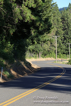Elk Haven Ranch-8578