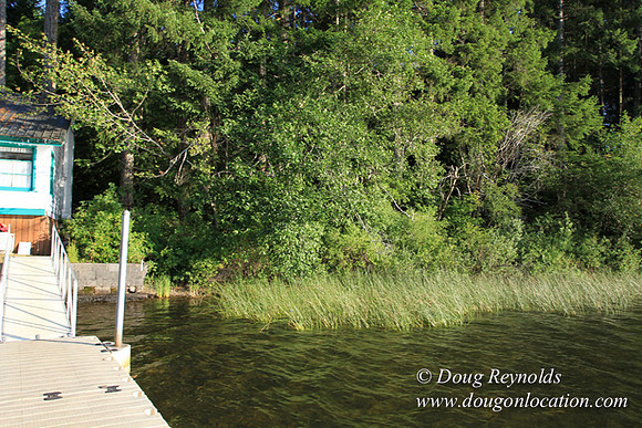 Boat, Cabin, Dock, Home, "House lake", WA, Washington, Yard, deck, "green. Beach" Vacation