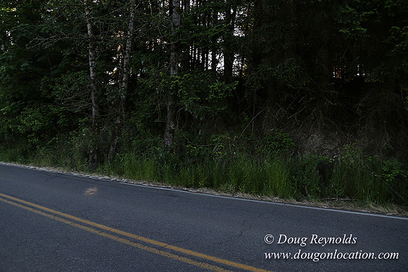 Moores Rd 2-7086