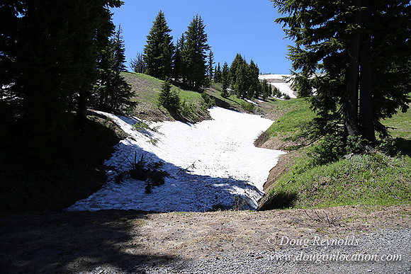 Medow's Snow-5634