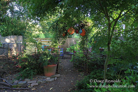 Home" Bungalow, Bee's Back yard Chickens, Small,