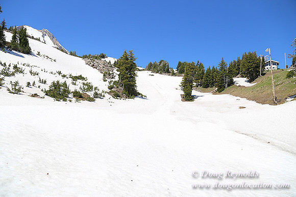 Medow's Snow-5688