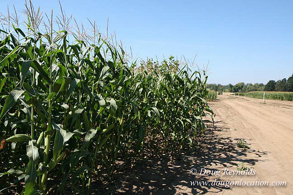 Farm 4 has Barns Shops they grow Wheat and Corn.  in the Portland Zone