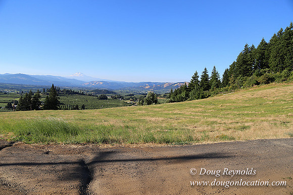 Both Hill Rd-8607