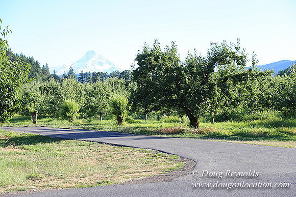 Patricks Farm-8520
