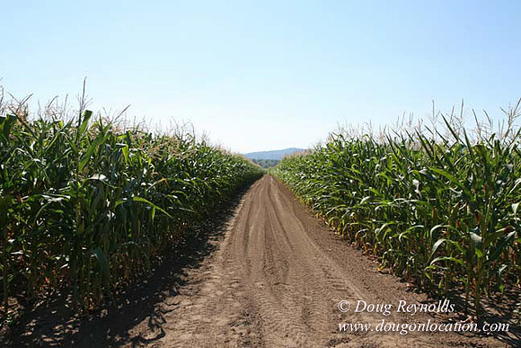 Farm 4 has Barns Shops they grow Wheat and Corn.  in the Portland Zone