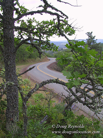 WA Canyon Rd- 7407