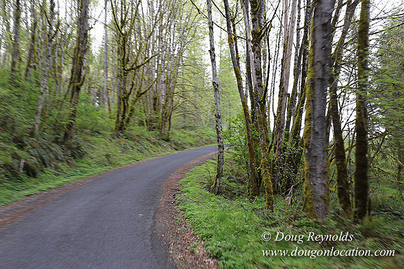 Brians Rd to the Gate-0300