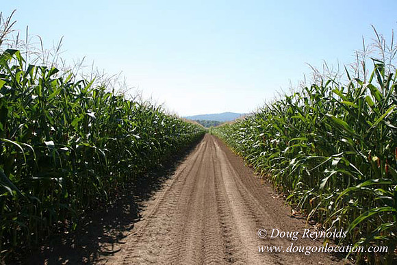 Farm 4 has Barns Shops they grow Wheat and Corn.  in the Portland Zone