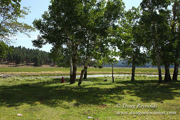 2500 Acres of green fields Creeks water crossing Bridges on a Large Lake and miles of Dirt roads Oak trees Forest land ATV Trails cows