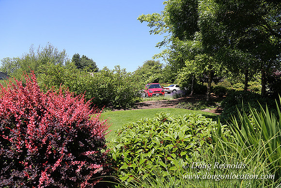 Scotts House-5354