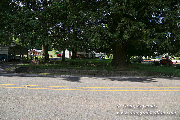 Helvetia rd at Mikes-5945