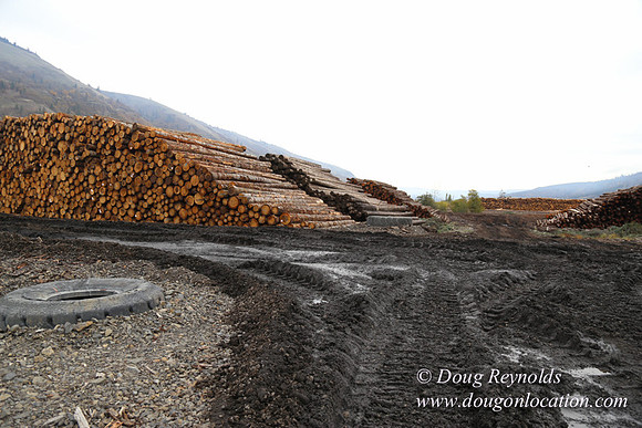 SDS Lumber-1431