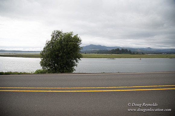 Scouted Locations