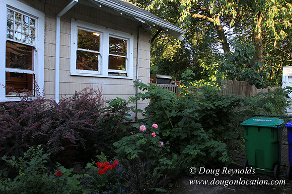 Home" Bungalow, Bee's Back yard Chickens, Small,