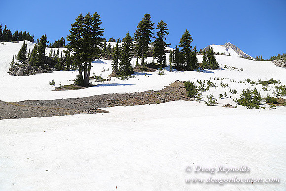 Medow's Snow-5686