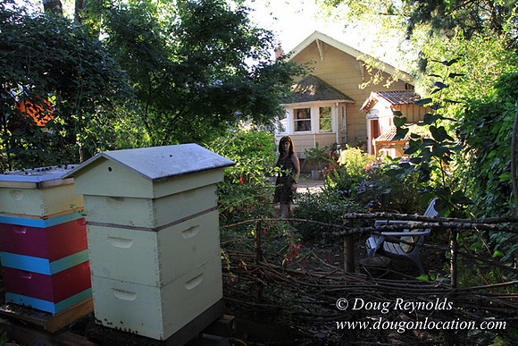 Home" Bungalow, Bee's Back yard Chickens, Small,