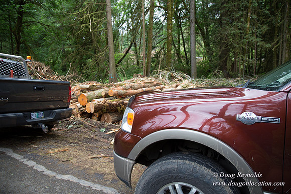 logging