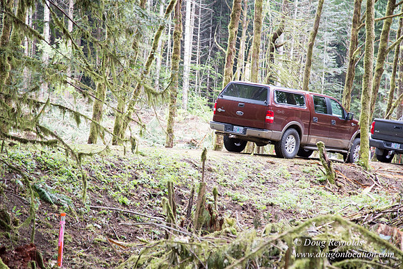 logging
