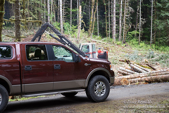 logging
