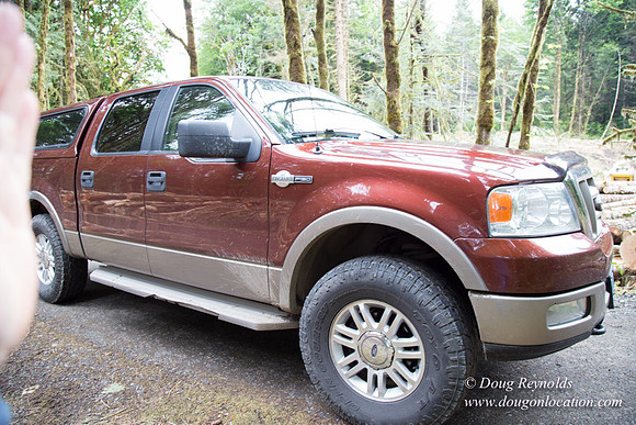 logging