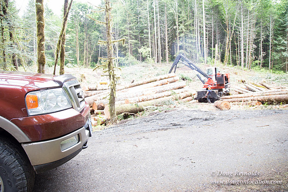 logging