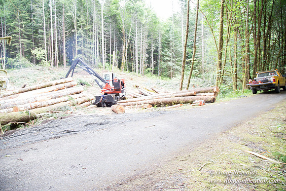 logging