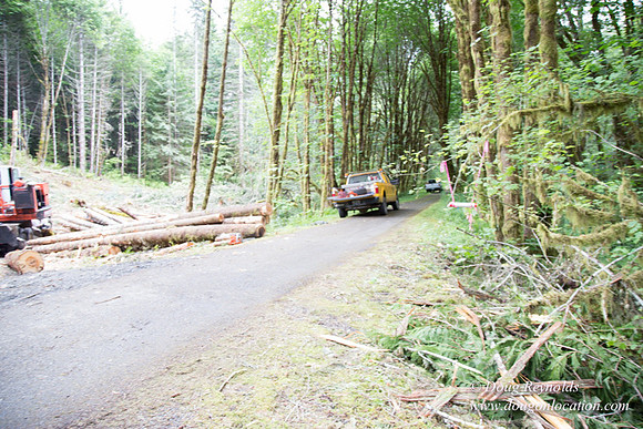 logging